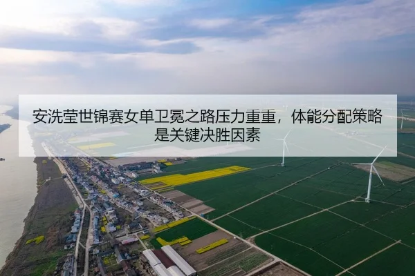 an-xi-ying-shi-jin-sai-nv-dan-wei-mian-zhi-lu-ya-li-chong-chong-ti-neng-fen-pei-ce-lve-shi-guan-jian-jue-sheng-yin-su-2-246.jpg