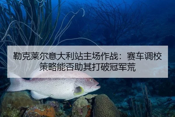 lei-ke-lai-er-yi-da-li-zhan-zhu-chang-zuo-zhan-sai-che-diao-xiao-ce-lve-neng-fou-zhu-qi-da-po-guan-jun-huang-2-636.jpg