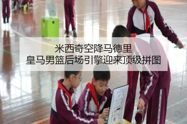 米西奇空降马德里 皇马男篮后场引擎迎来顶级拼图